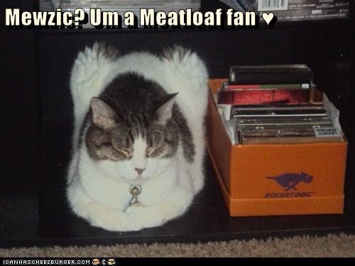 Mewzic? Um a Meatloaf fan ♥