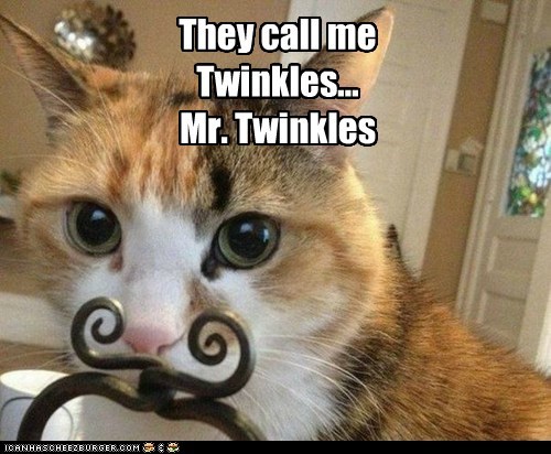 They call me Twinkles... Mr. Twinkles