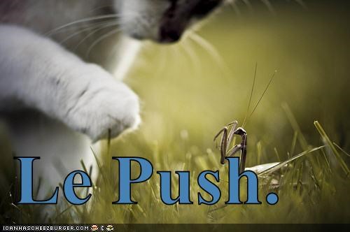 Le Push.