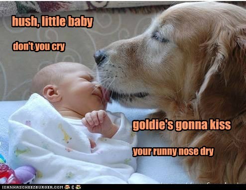 hush, little baby
