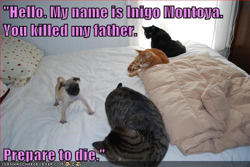 "Hello. My name is Inigo Montoya. You killed my father.  Prepare to die."