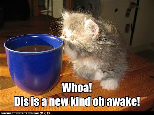 Coffee awake!