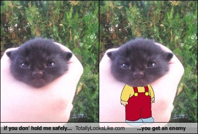 if you don' hold me safely... Totally Looks Like ...you get an enemy