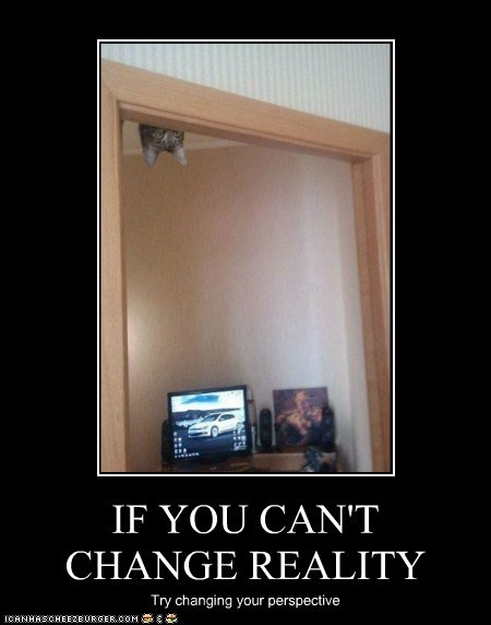 IF YOU CAN'T CHANGE REALITY