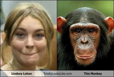 Lindsey Lohan Totally Looks Like This Monkey