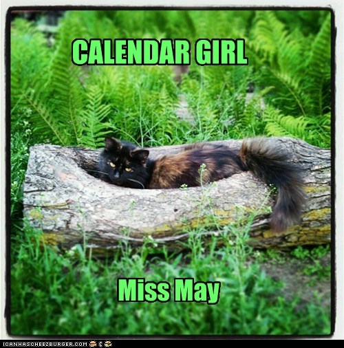 I love, I love, I love my Calendar Girl