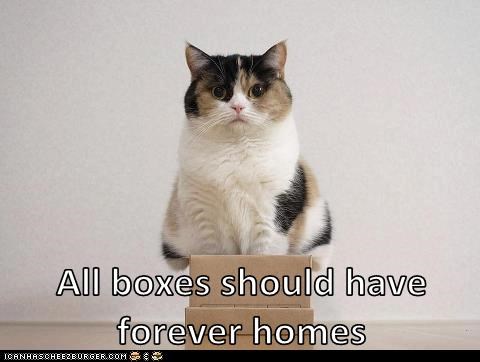 All boxes should have forever homes