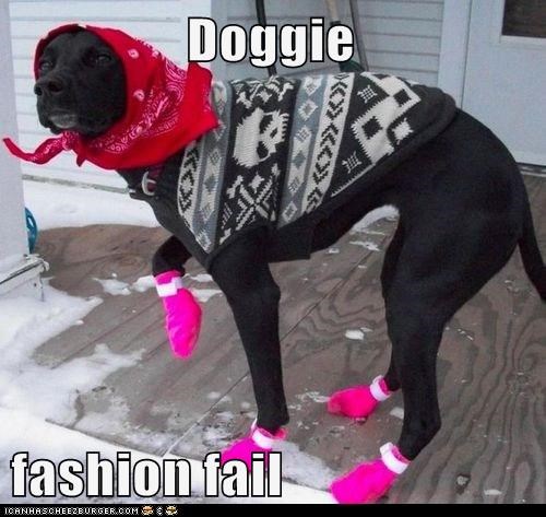 Doggie  fashion fail