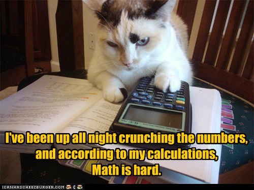 I've been up all night crunching the numbers,