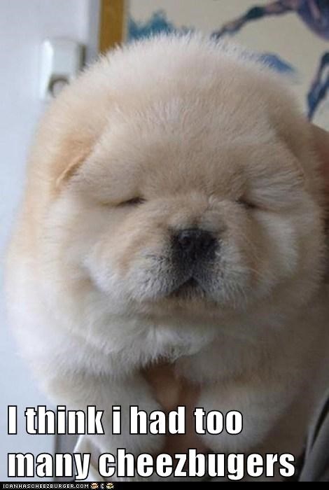 Now I'm a Little Husky 