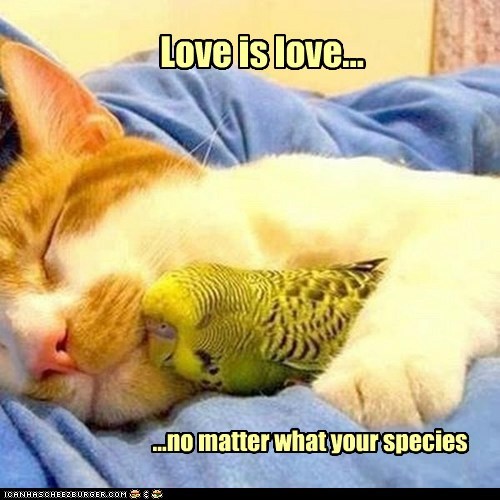 Love is love...
