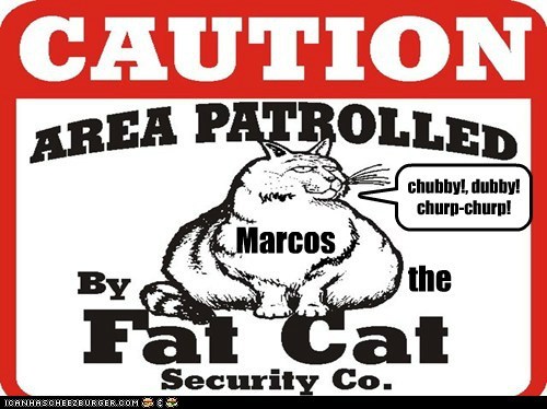 Marcos the fat cat security Co.