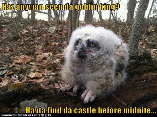 Haz anywan seen da goblin king?