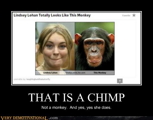THAT IS A CHIMP