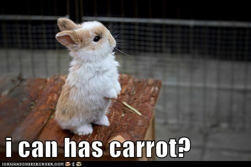 Pweeeeeease?