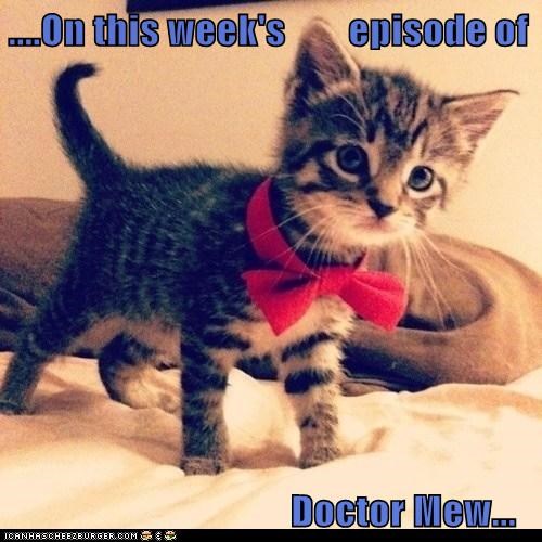 ....On this week's        episode of                                      Doctor Mew...