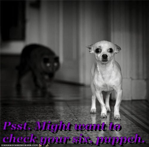 Psst. Might want to check your six, puppeh.