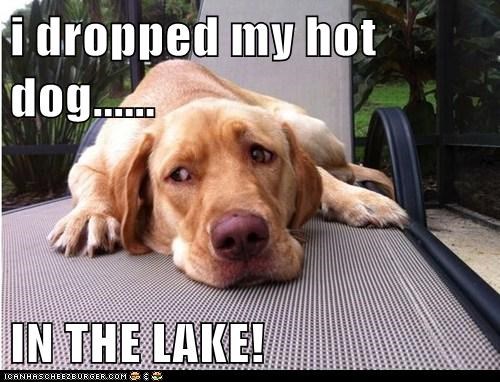 i dropped my hot dog......  IN THE LAKE!