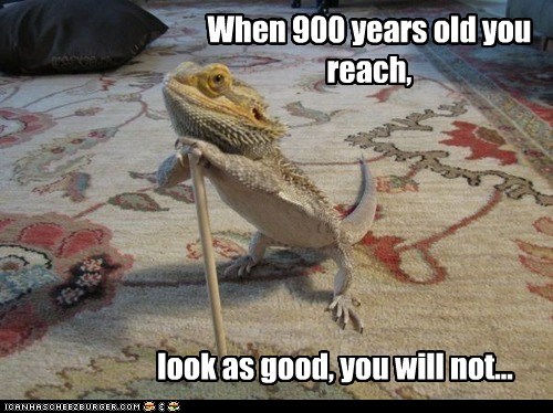 When 900 years old you reach,