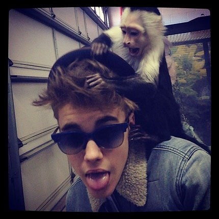 German Officials Threaten to Take Away Justin Bieber's Monkey