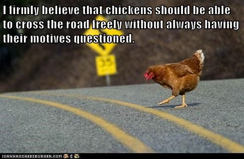 I firmly believe that chickens 