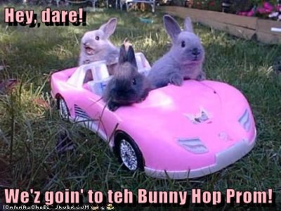 Hey, dare!  We'z goin' to teh Bunny Hop Prom!