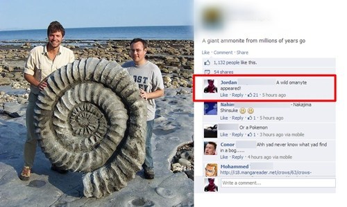 They Found a Helix Fossil!