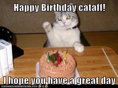 Happy Birthday cataff!  I hope you have a great day