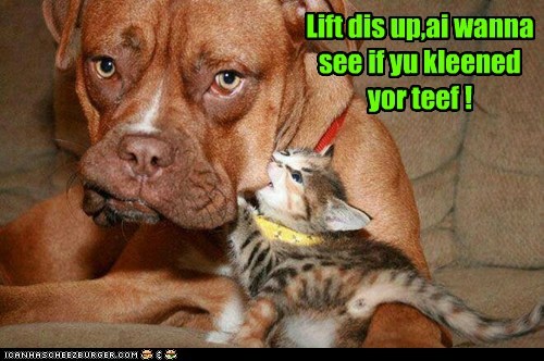 Lift dis up,ai wanna see if yu kleened yor teef !