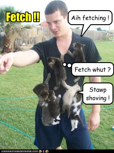 Fetch !!