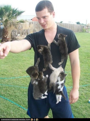 Real men wear cats.