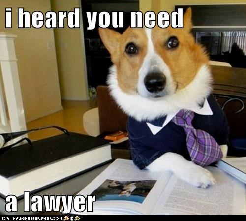 i heard you need  a lawyer
