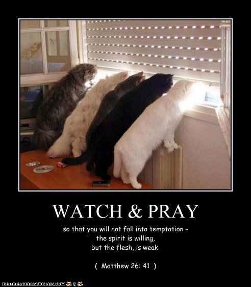 WATCH & PRAY