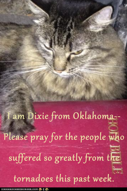 I am Dixie from Oklahoma--Please pray for the people who suffered so greatly from the tornadoes this past week.