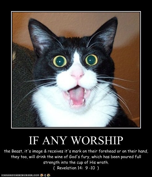 IF ANY WORSHIP