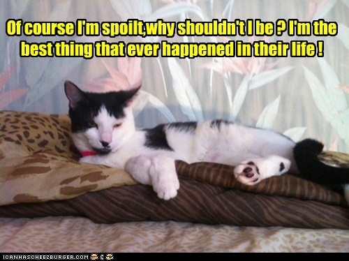 Of course I'm spoilt,why shouldn't I be ? I'm the best thing that ever happened in their life !
