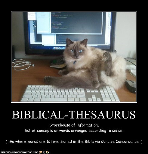 BIBLICAL-THESAURUS