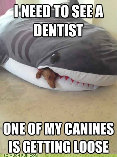 Cutest Dental Problem Ever