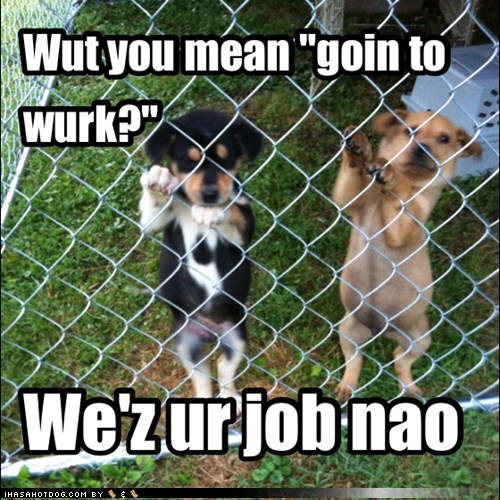 Pups Wave Master Off to Work