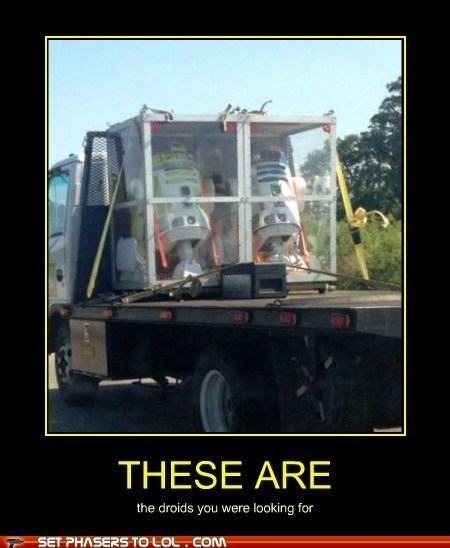 What Do You Suppose Would Have Happened If They Had Found the Droids They Were Looking For?