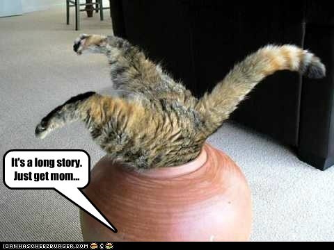 It's a long story. Just get mom...