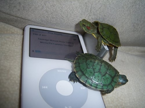 This is Their Jam