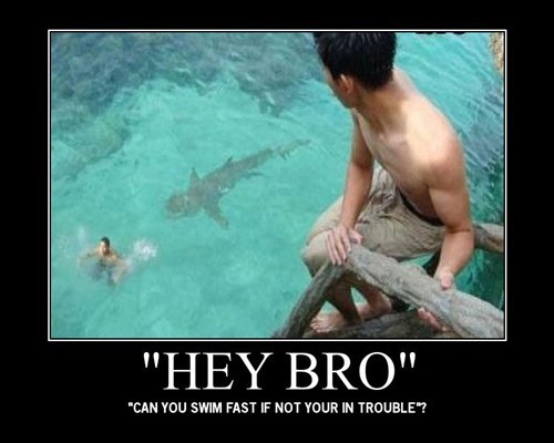 Swim Faster, Bro