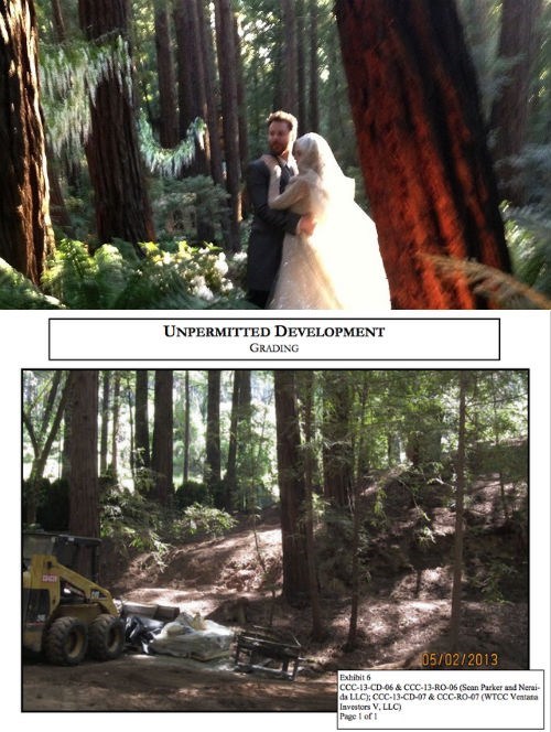 YOLO of the Day: Napster Co-founder's Wedding Accidentally Ruins Californian Forest