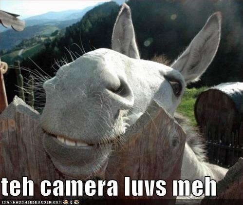 teh camera luvs meh