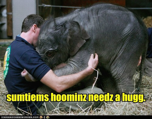 sumtiems hoominz needz a hugg.