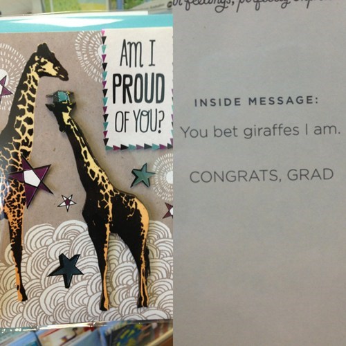 For the Punny Grad in Your Life