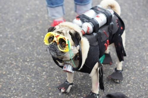 Ready for Underseas Adventures