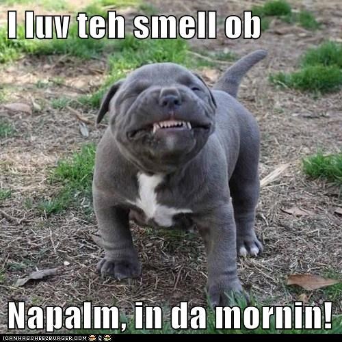 I luv teh smell ob  Napalm, in da mornin!
