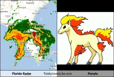 The Florida Radar Totally Looks Like Ponyta